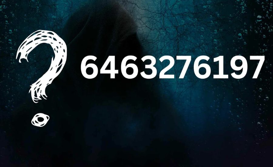 The Significance of the Digits in 6463276197