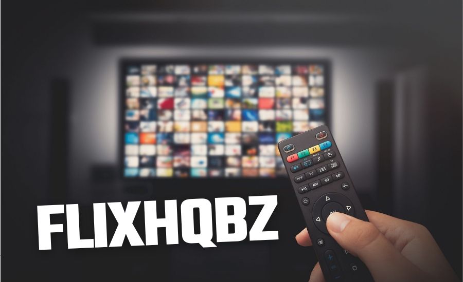 Growth and Expansion of Flixhqbz